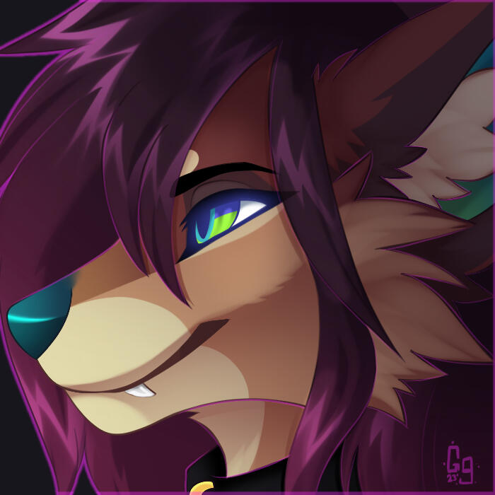 Icon (shaded)
